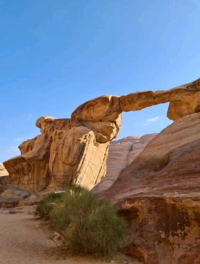 Hotel Moon Night Camp à Wadi Rum Extérieur photo