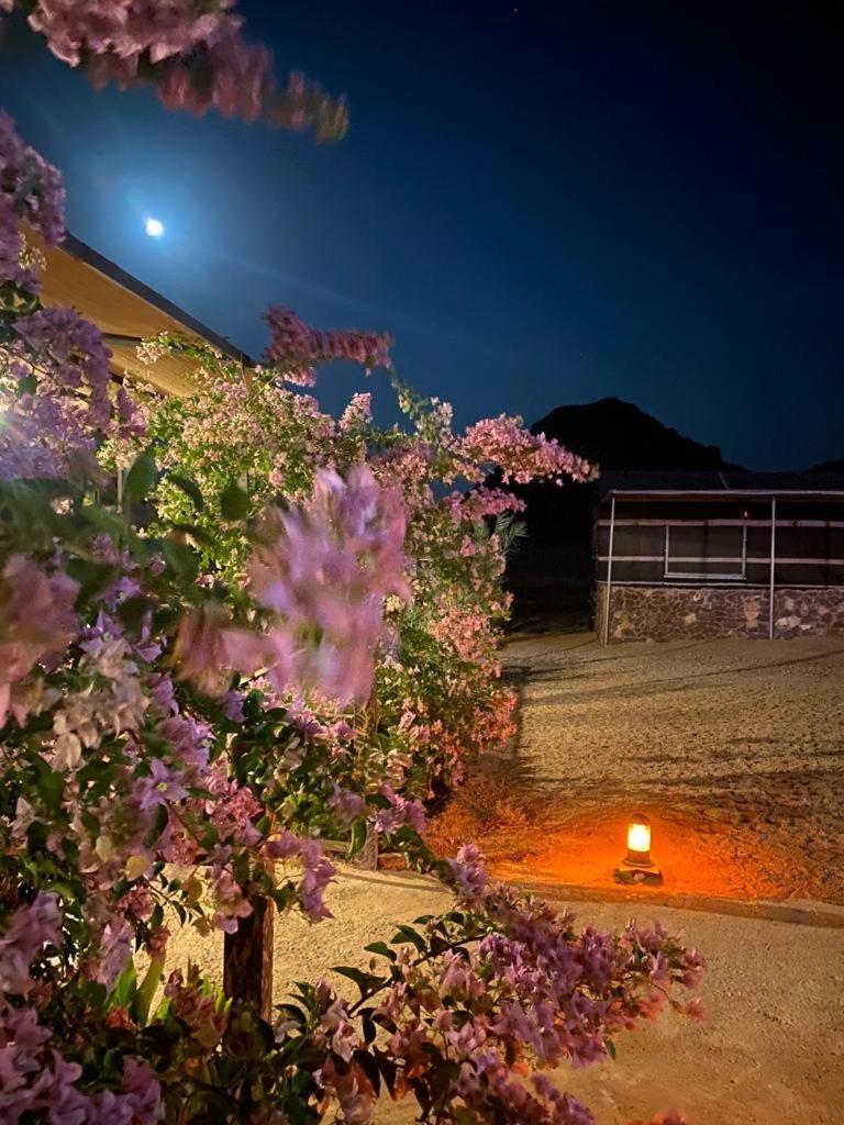 Hotel Moon Night Camp à Wadi Rum Extérieur photo